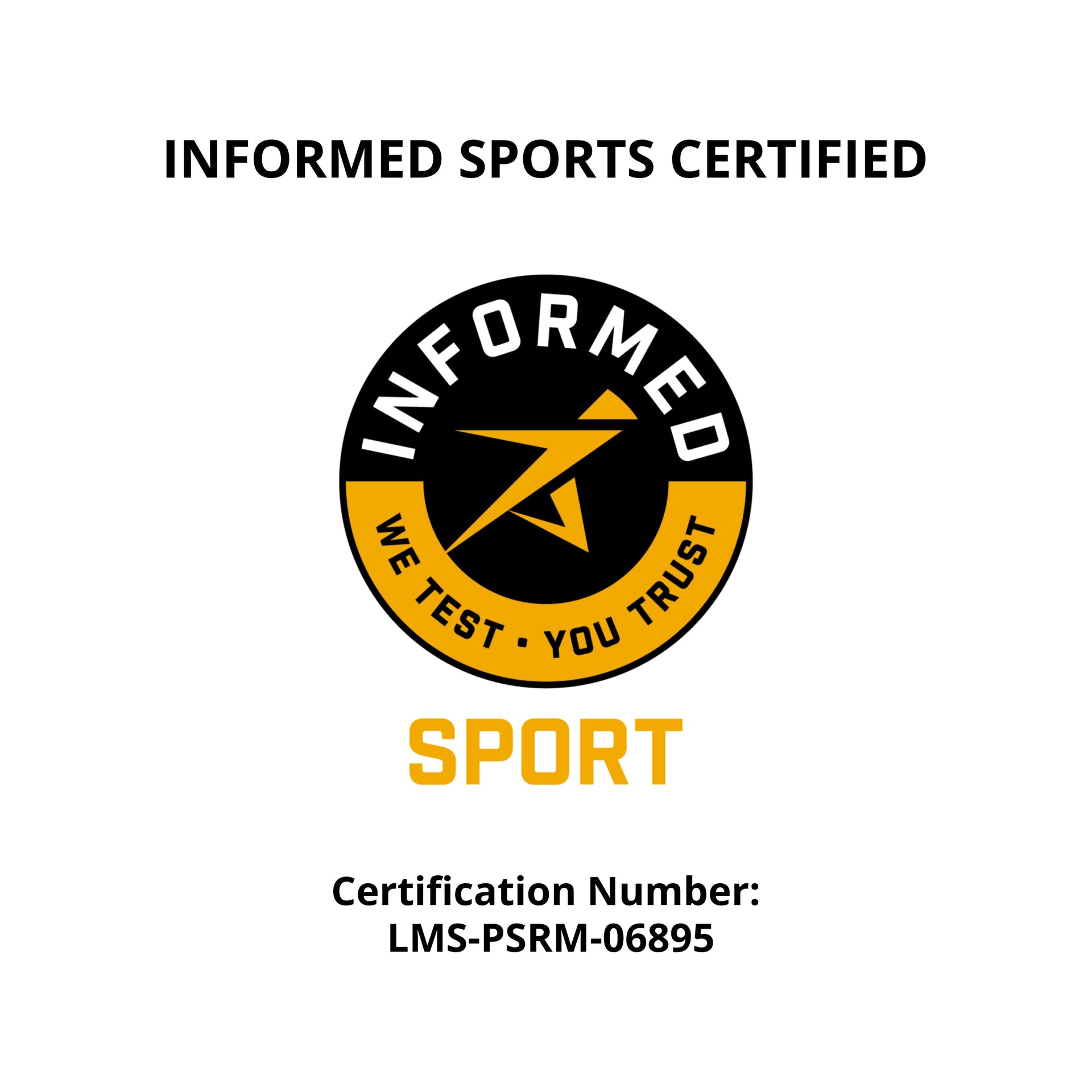 Plant Based Sport Protein Powder for Fitness Support