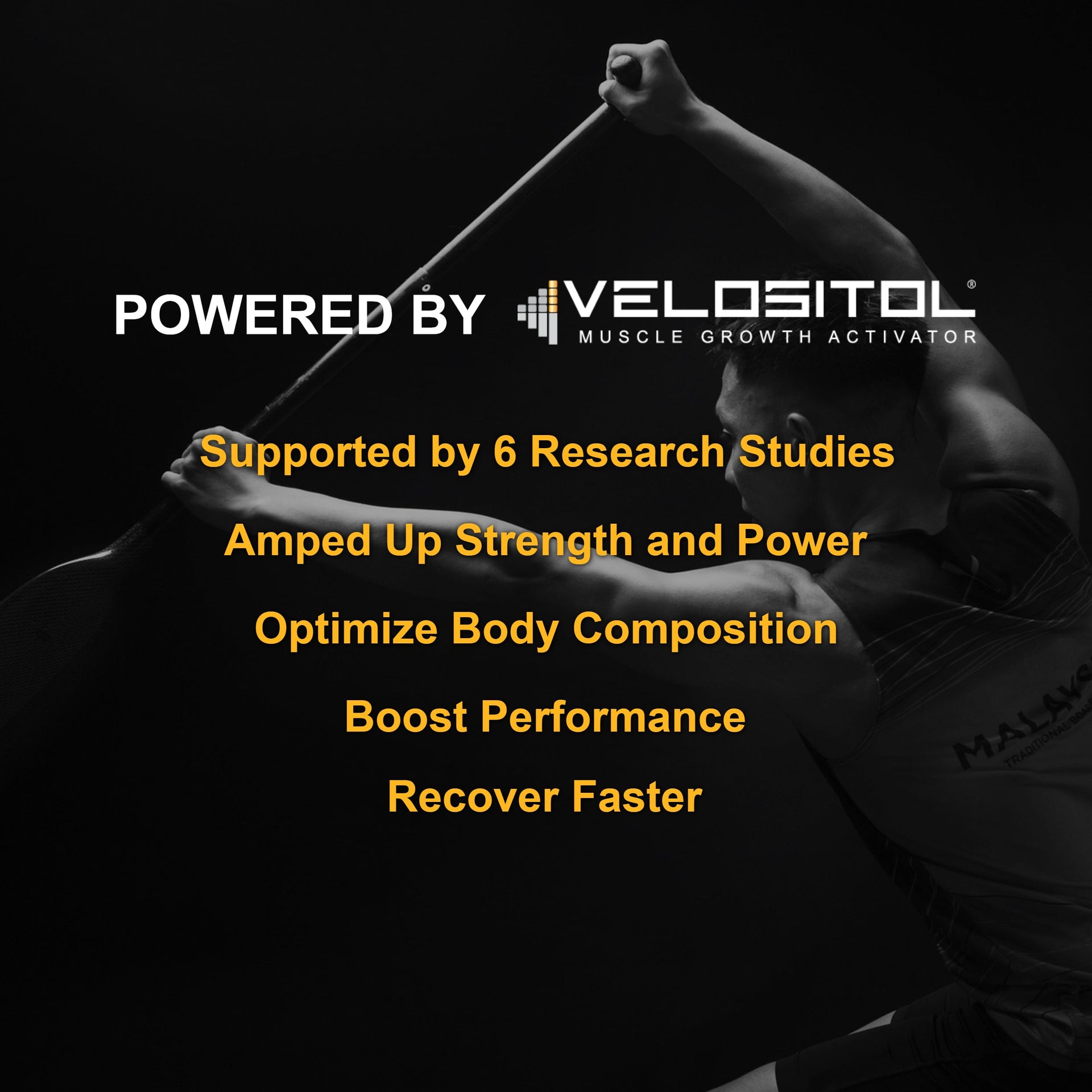 Plant Based Sport Protein Powder for Fitness Support