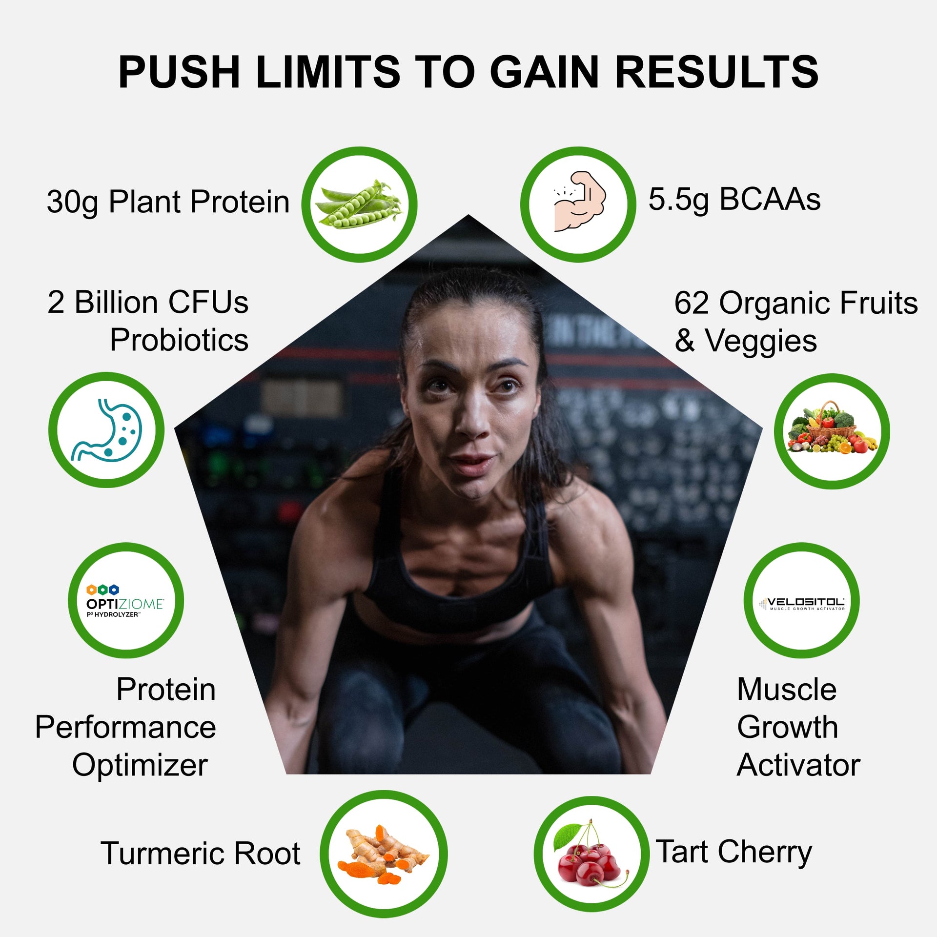 Plant Based Sport Protein Powder for Fitness Support