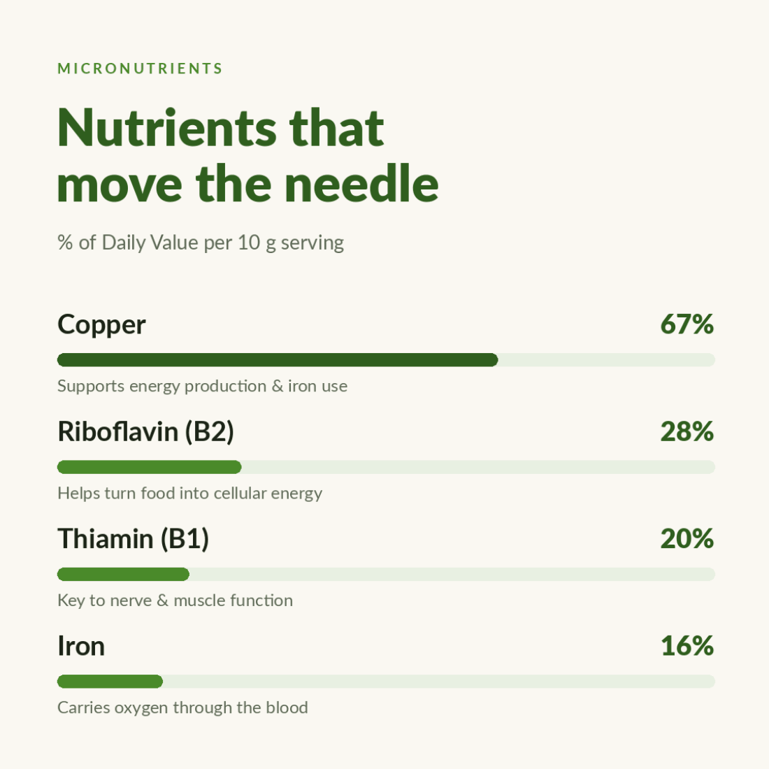 Spirulina Large Bag Nutrient Dense Supplement